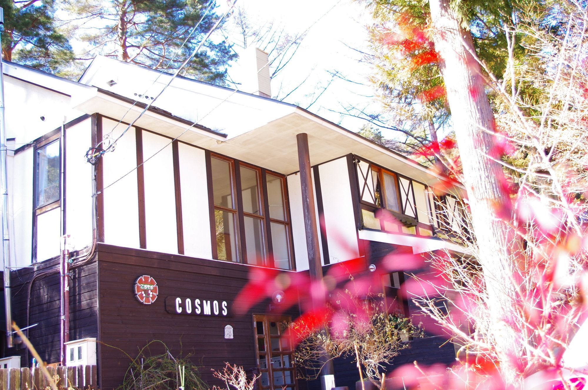 Forest Resort Cosmos Fudzsikavagucsiko Kültér fotó